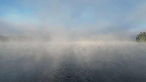 Foggy Water Lake