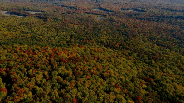 Fall Autumn Landscape
