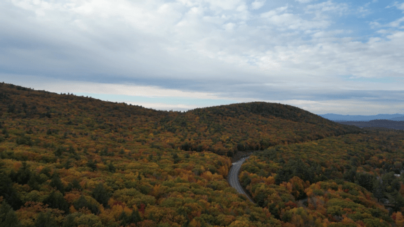 Mountain Foliage Fall