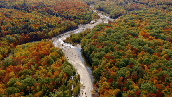 Fall Landscape Aerial
